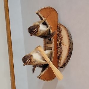 Chipmunks in a canoe